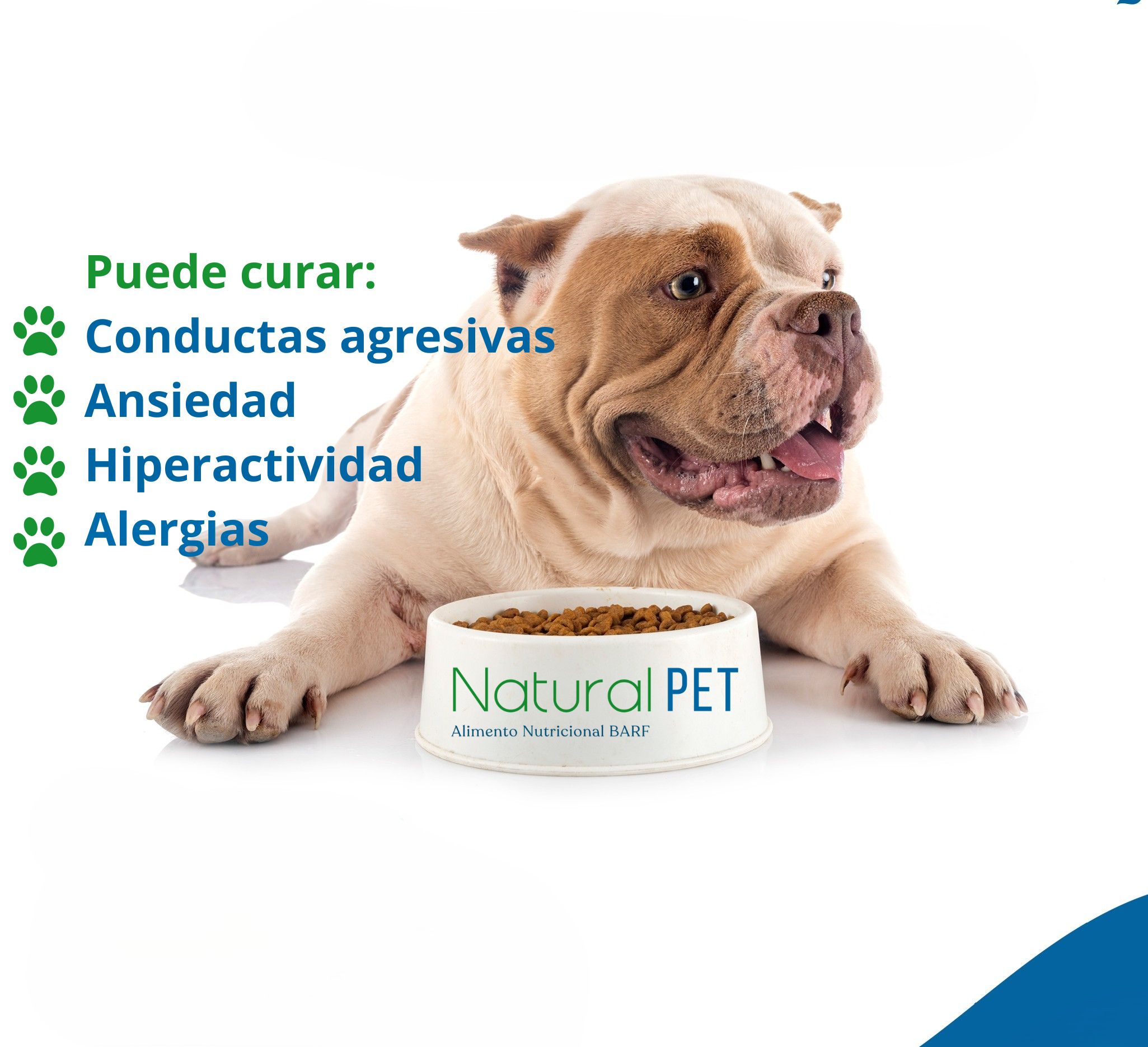 Digestión