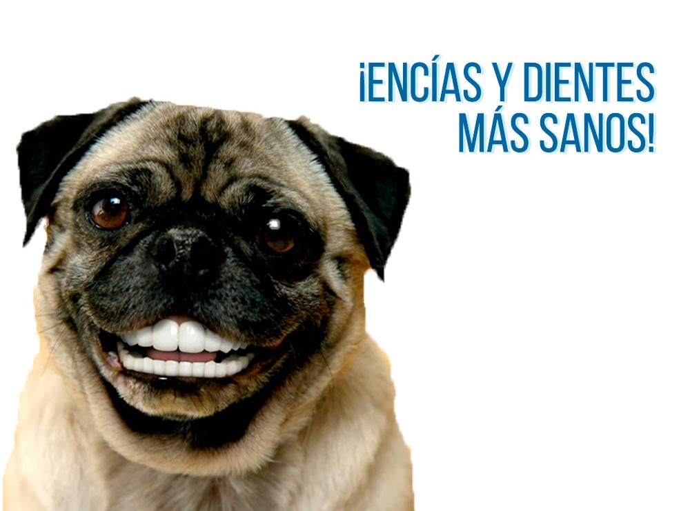 Mal Aliento