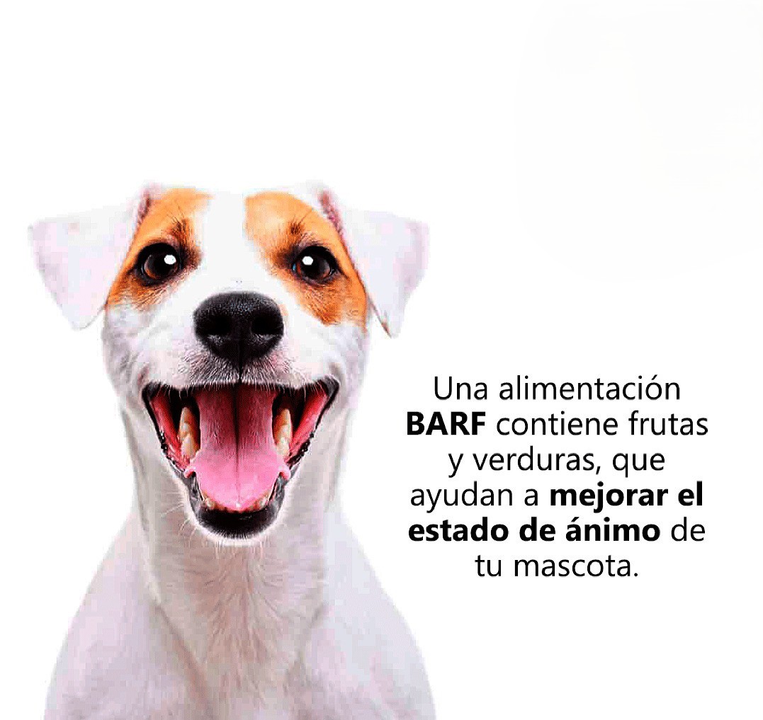 Imagen de marca 1