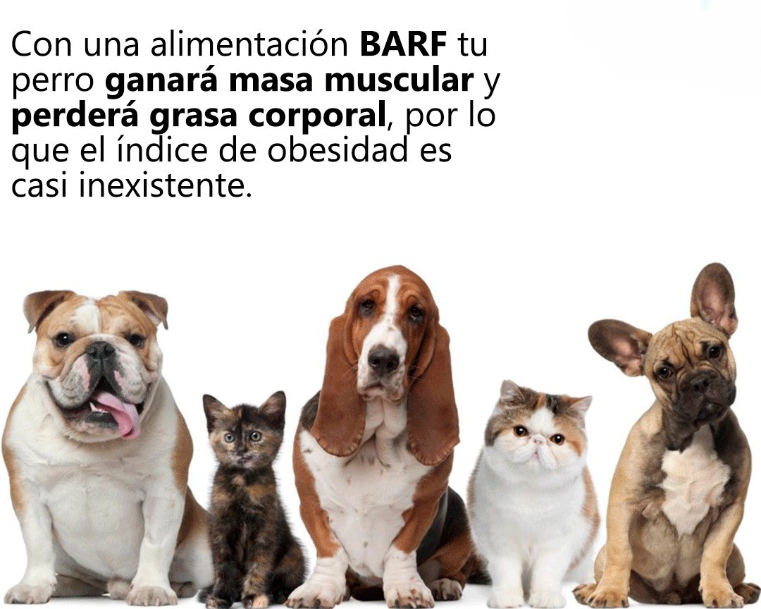 Imagen de marca 3