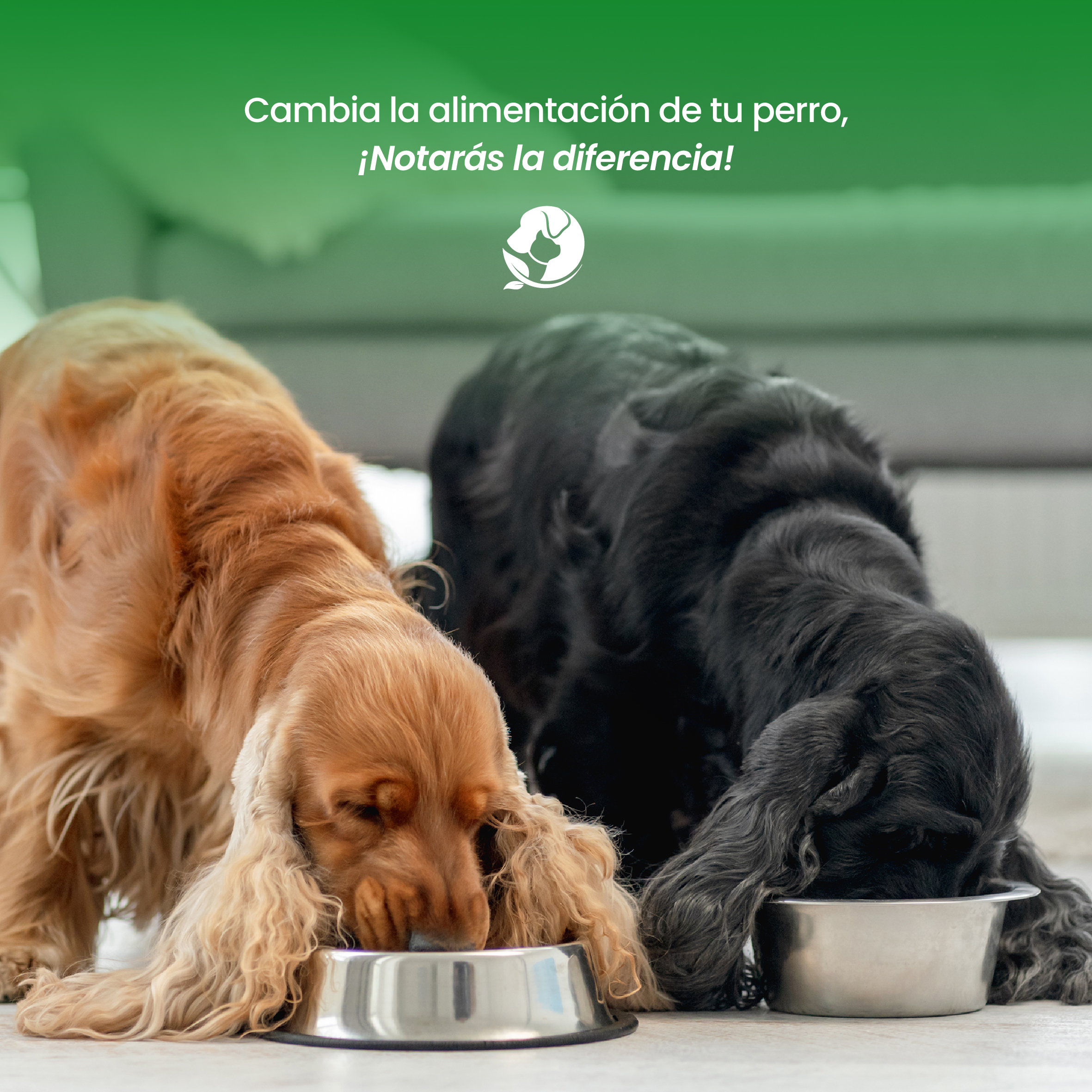 Imagen de marca 3