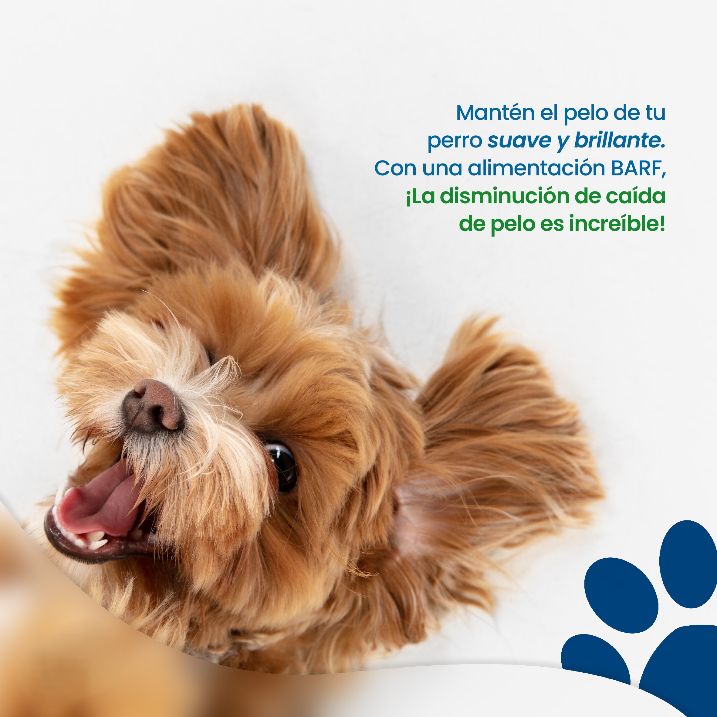 Imagen de marca 2
