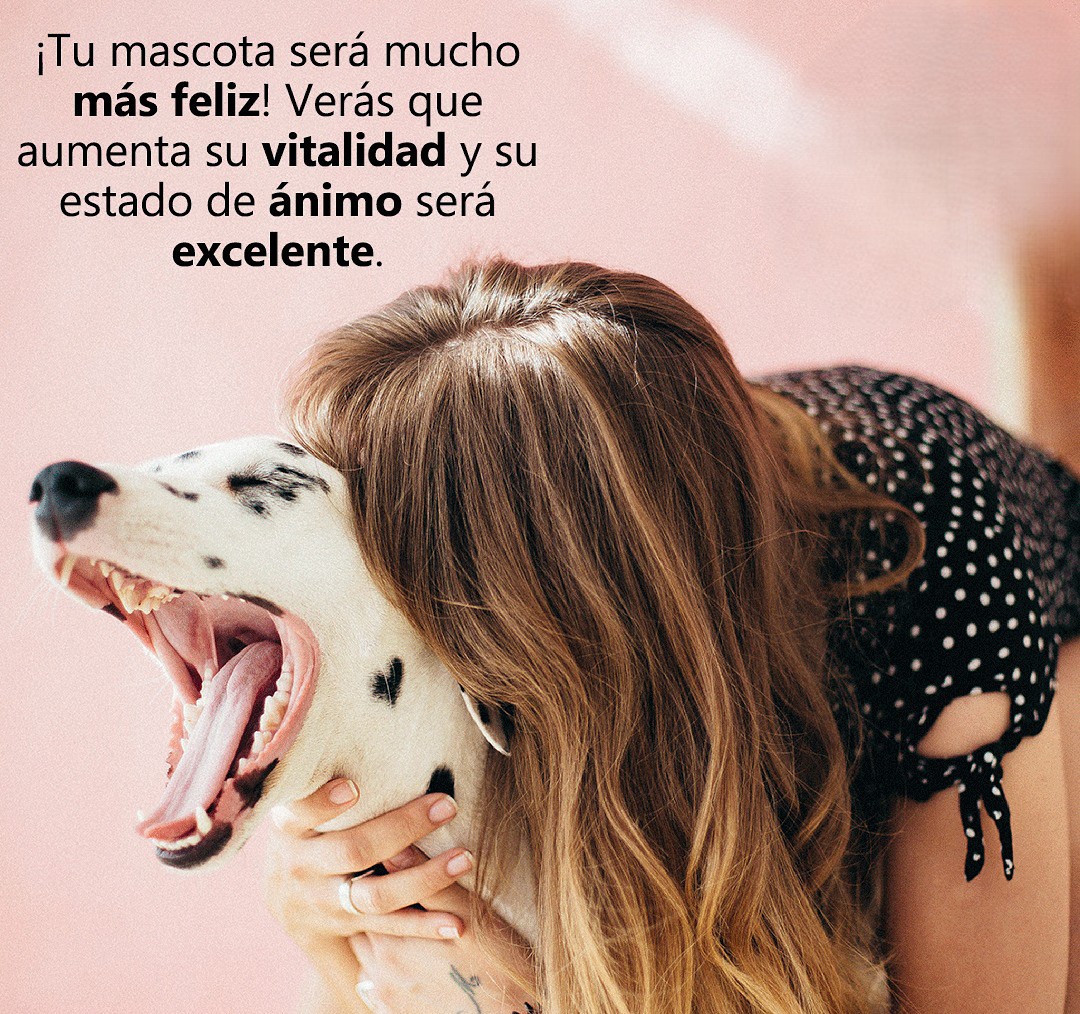 Imagen de marca 3