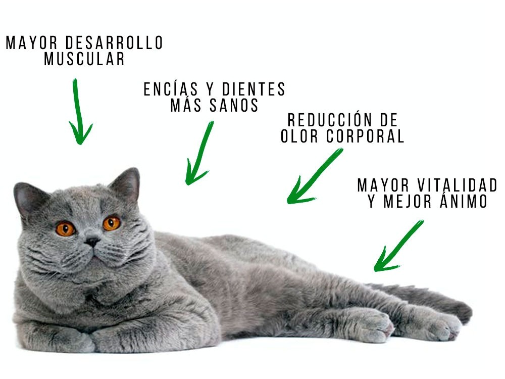 Imagen de marca 3