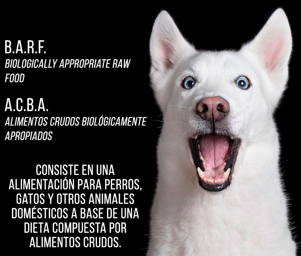 Imagen de marca 3