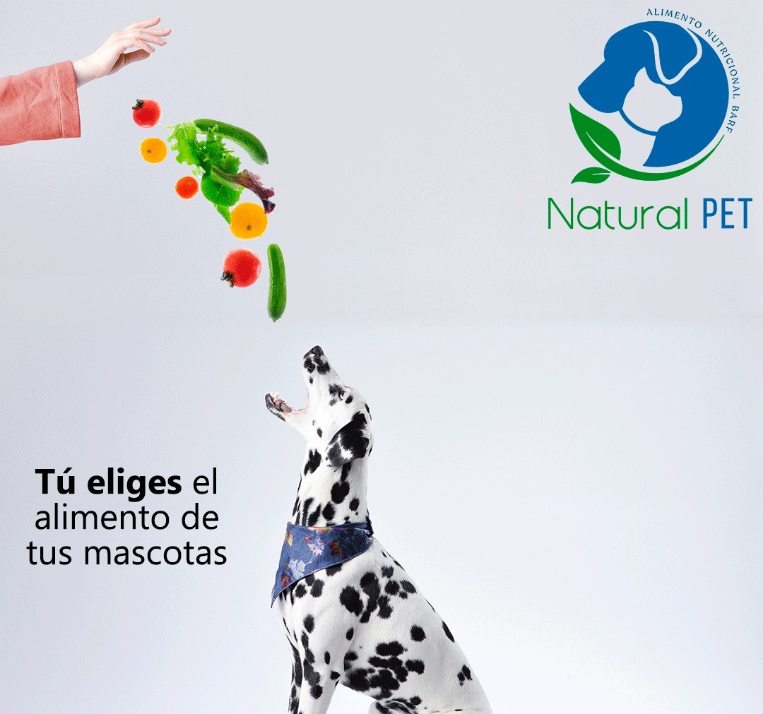 Imagen de marca 3