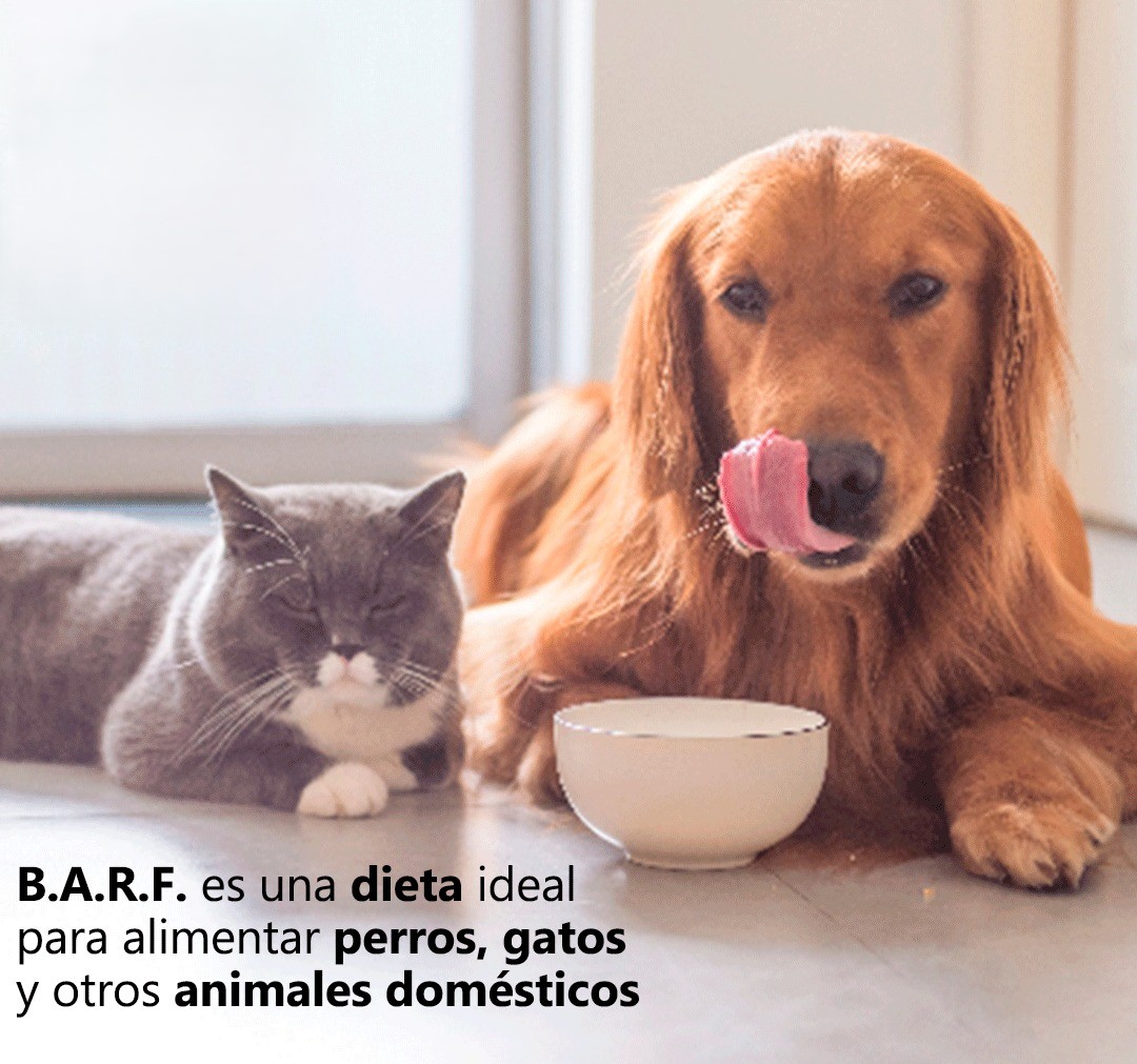 Imagen de marca 3