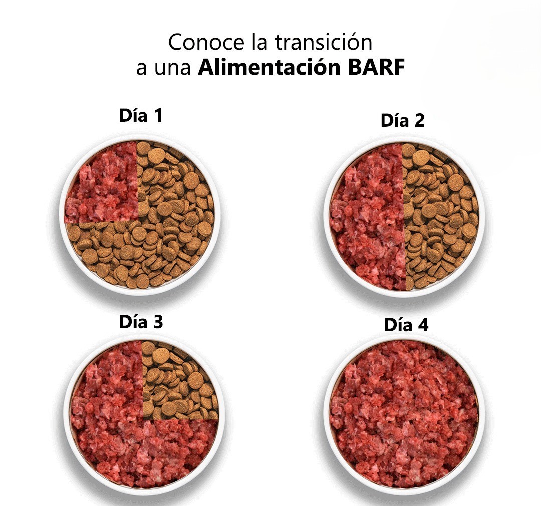 Guía de transición alimentaria